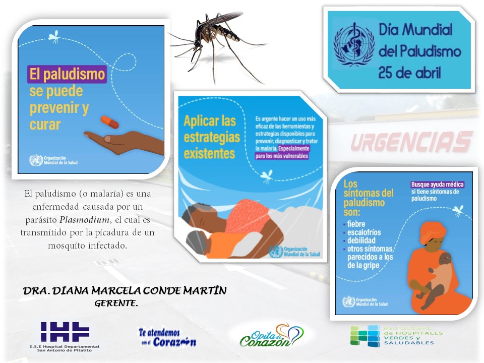 DÍA MUNDIAL DEL PALUDISMO (MALARIA) – 25 DE ABRIL