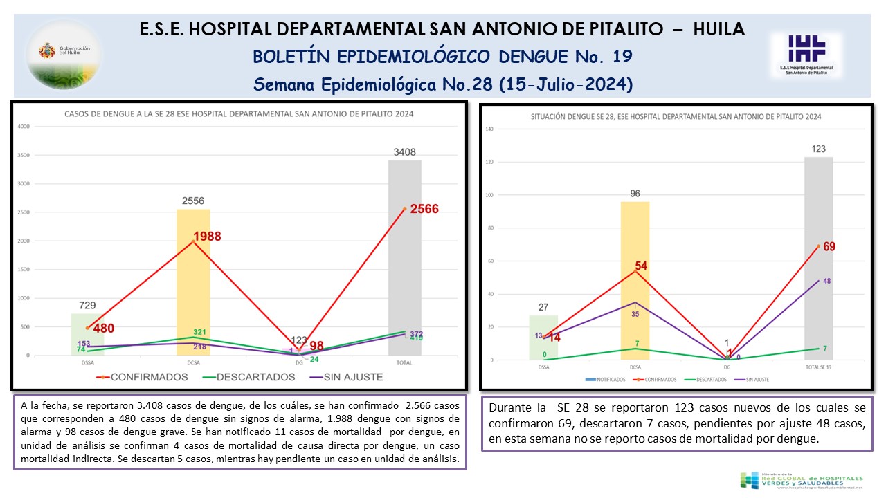 Boletín epidemiológico Dengue N.19 (15 de julio de 2024)