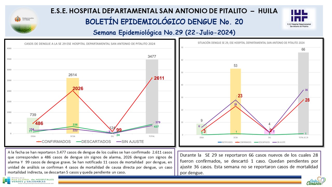 Boletín epidemiológico Dengue N.20 (22 de Julio de 2024)