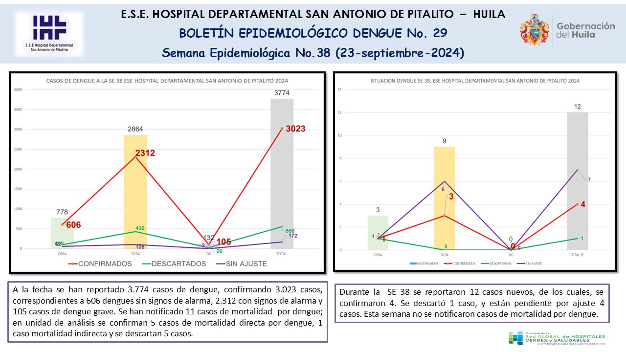 Boletín epidemiológico Dengue N.29