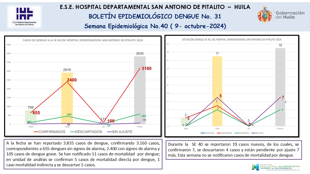 Boletín epidemiológico Dengue N.31